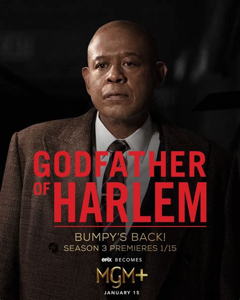 download godfather of harlem season 3|godfather of harlem season 4 release date.